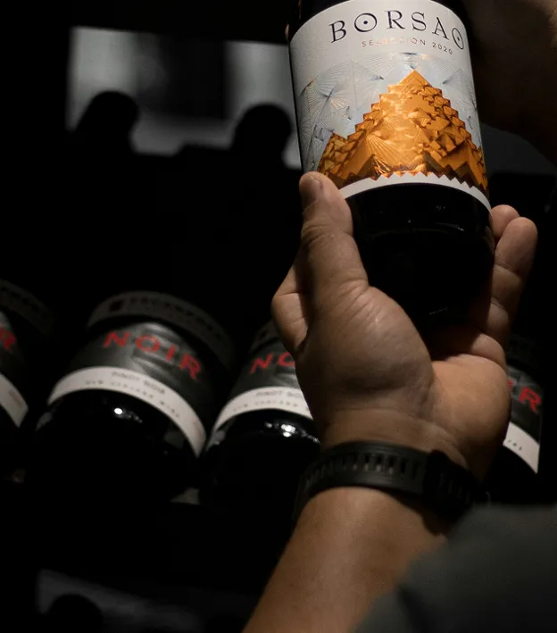 Un esperto tiene in mano una bottiglia di vino rosso