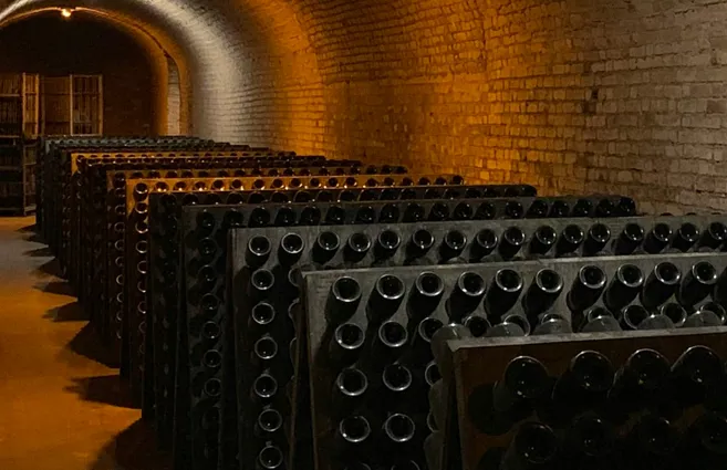 Una cantina con tanti scaffali pieni di bottiglie di vino 
